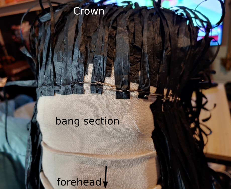 Gluing to the back end of the bang section. The cap is pulled forward, the forehead marked at the bottom with an arrow pointing down. Crown is marked at the top, indicating the crown of the head.