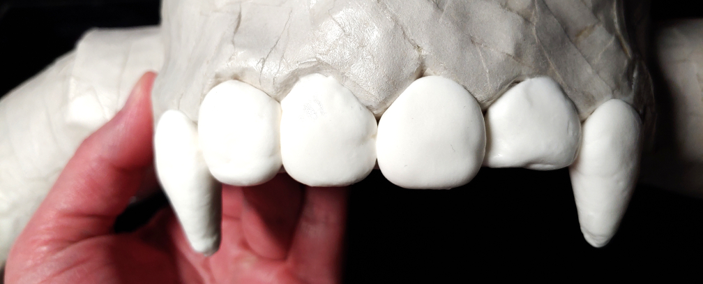 Foam clay teeth added to a paper mache skull